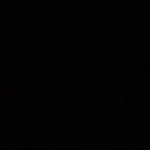 Meet your Posher, Benny